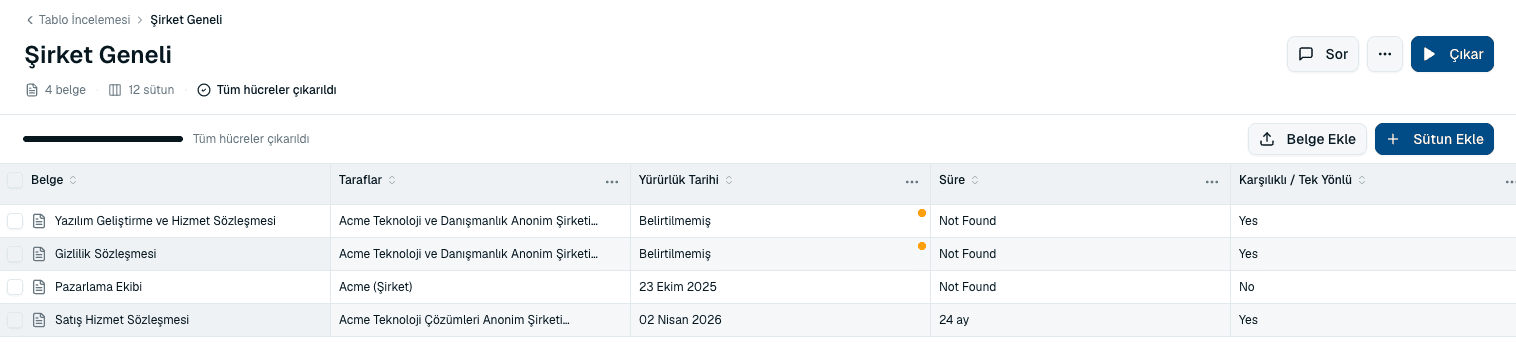 Her belge için bir satır ve üstte çıkarım sütunları bulunan tablo incelemesi ızgarası